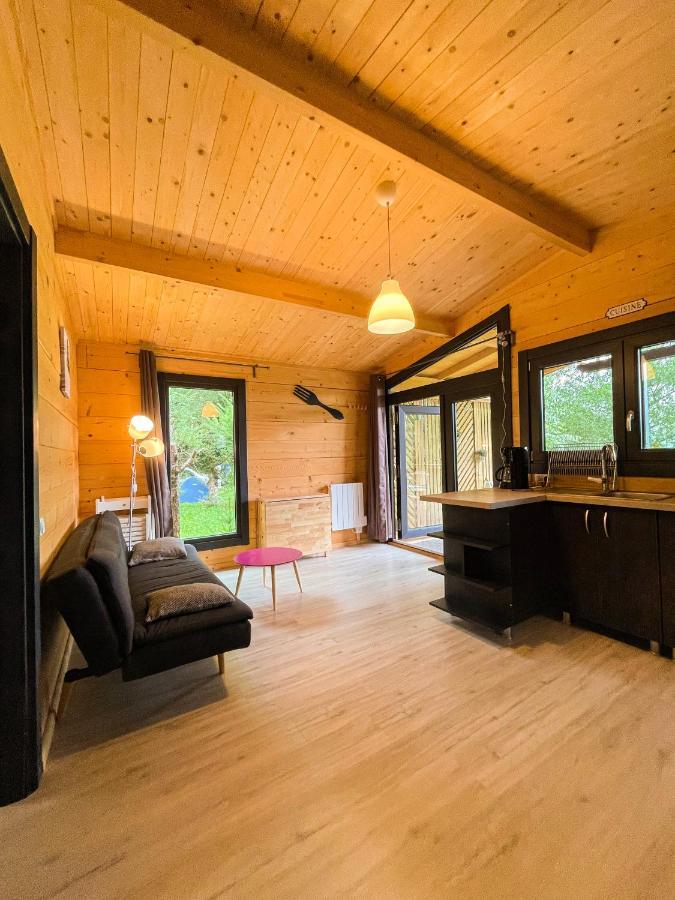 Chalet Nature Sur La Vallee De La Truyere 讷韦格利斯 外观 照片